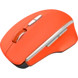 Мышь Canyon CNS-CMSW21R