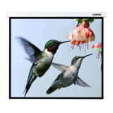 Экран Lumien Master Picture 406х305 MW (LMP-100114)