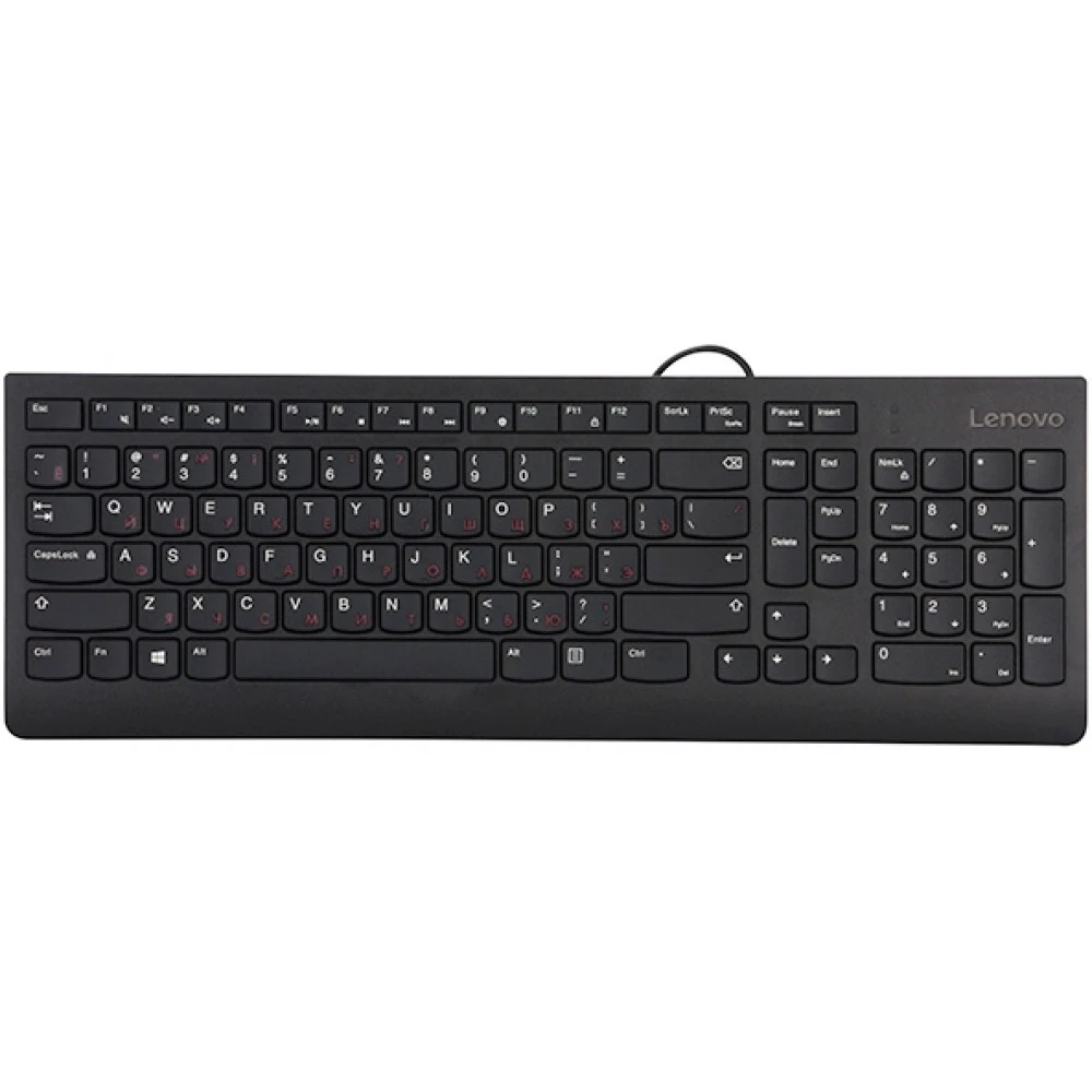 Клавиатура Lenovo 300 (GX30M39684) - фото 2