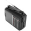 Радиоприёмник Ritmix RPR-190