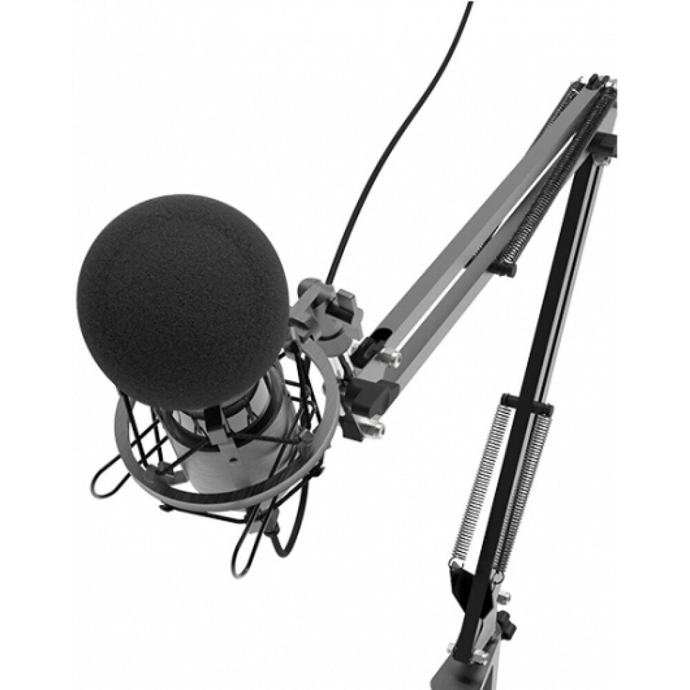 Микрофон Ritmix RDM-180 Black - фото 4