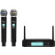 Микрофонная система Ritmix RWM-222 Black