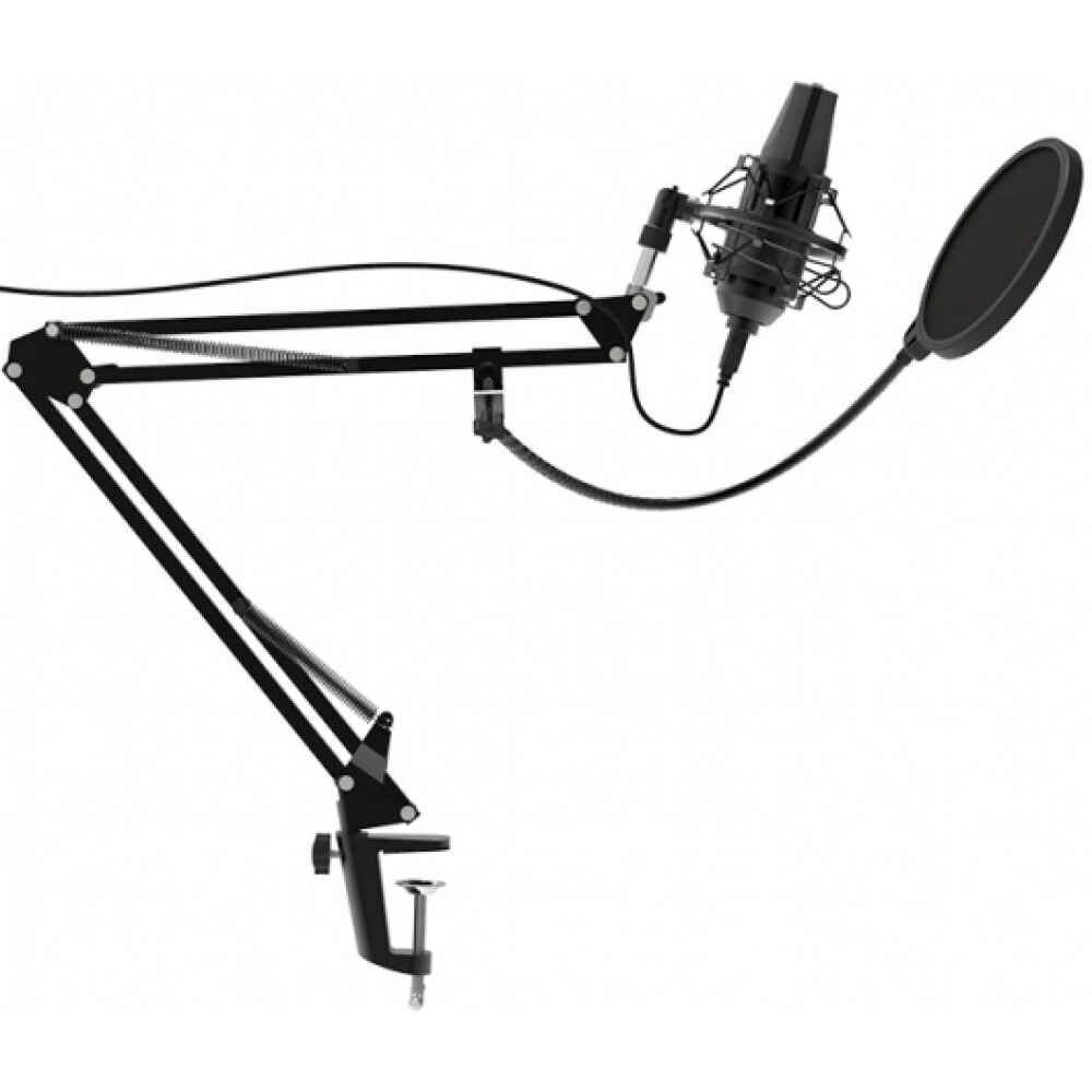 Микрофон Ritmix RDM-180 Black - фото 2