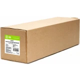 Холст Cactus CS-MC230-106730