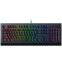 Клавиатура Razer Cynosa V2 - RZ03-03400700-R3R1