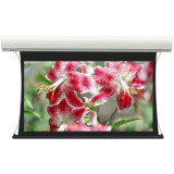 Экран Lumien Cinema Tensioned Control 160x244 MW White (LCTC-100123)