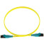 Патч-корд Panduit F92ELQ1Q1SNM001, 1м