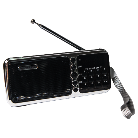 Радиоприёмник Сигнал РП-226BT Black/Silver