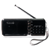 Радиоприёмник Сигнал РП-226BT Black/Silver