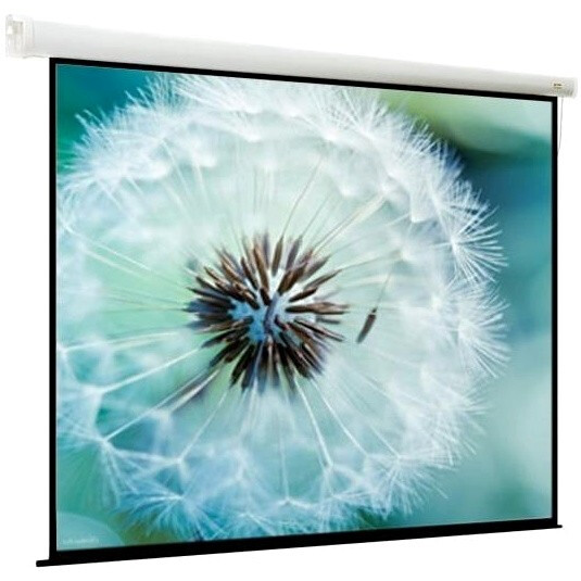 Экран ViewScreen Breston 171x171см (EBR-16902)