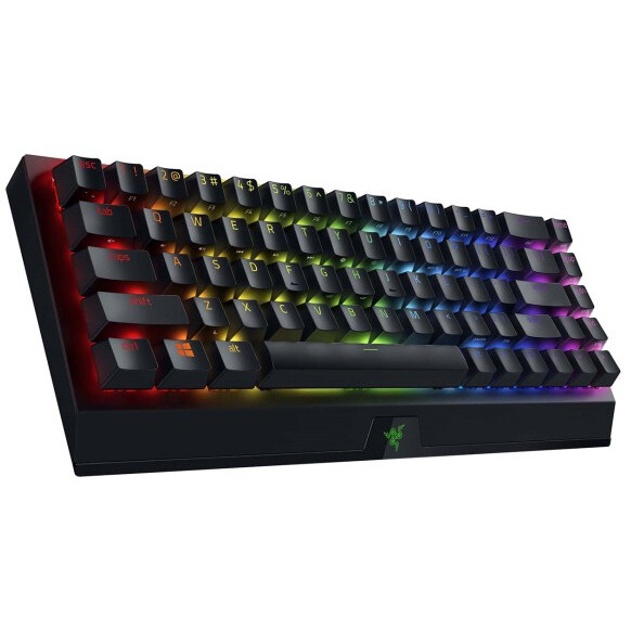 Клавиатура Razer BlackWidow V3 Mini (Green Switch) - RZ03-03891600-R3R1 - фото 4