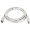 Кабель USB A (M) - USB B (M), 3м, Telecom TC6900-3M