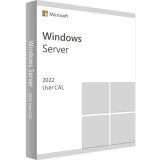 ПО Microsoft Windows Server CAL 2022 Russian 1pk DSP OEI 5 Clt User CAL (R18-06475)