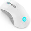 Мышь Lenovo Legion M600 Wireless Gaming Mouse (Stingray) - GY51C96033