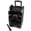Портативная акустика Dialog AO-210 Black