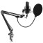Микрофон Ritmix RDM-169 Black
