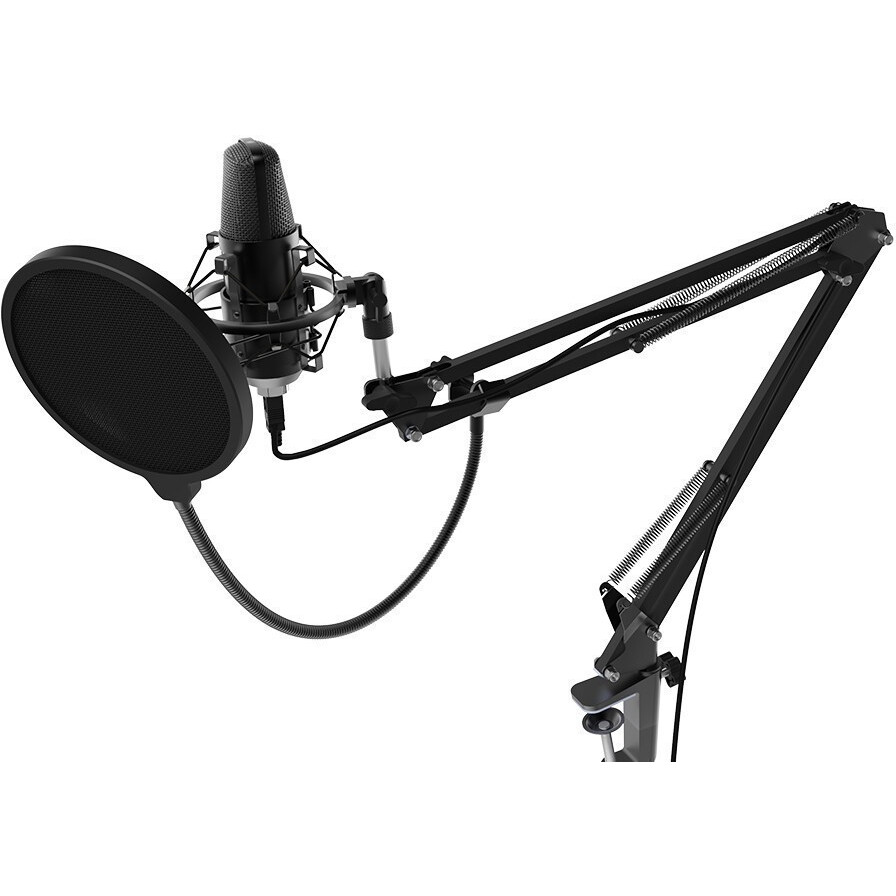 Микрофон Ritmix RDM-169 Black - фото 3