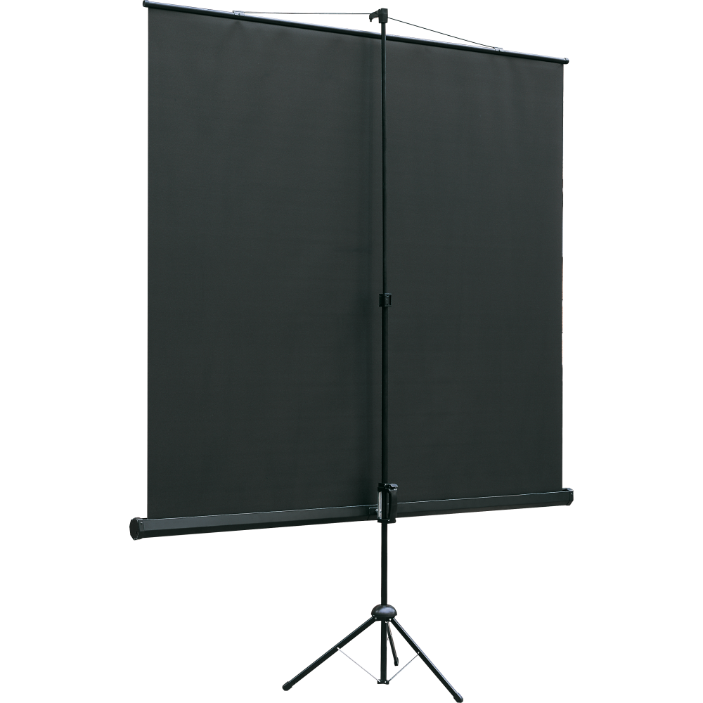 Экран Lumien Eco View 127x127 Matte White - LEV-100104 - фото 2