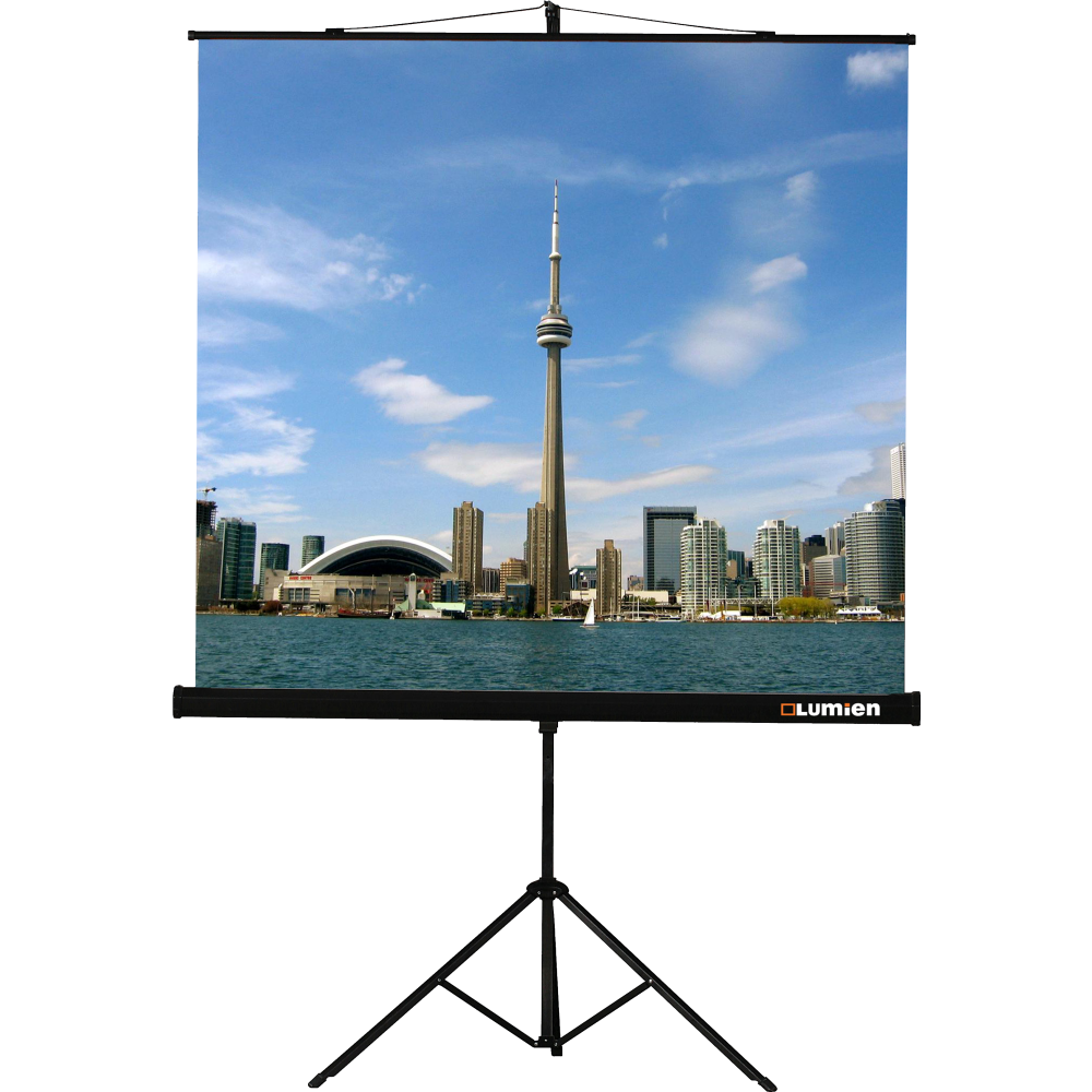 Экран Lumien Eco View 220x220 Matte White