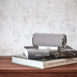 Портативная акустика Sudio Femtio Silver (FMTWHT)