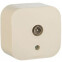 Розетка TV Legrand Quteo 782245
