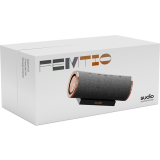 Портативная акустика Sudio Femtio Anthracite/Copper (FMTANC)