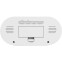 Часы-будильник Ritmix CAT-110 White - фото 4