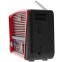 Радиоприёмник Ritmix RPR-050 Red - фото 3