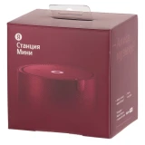 Умная колонка Яндекс Станция Мини красная (YNDX-00021R)