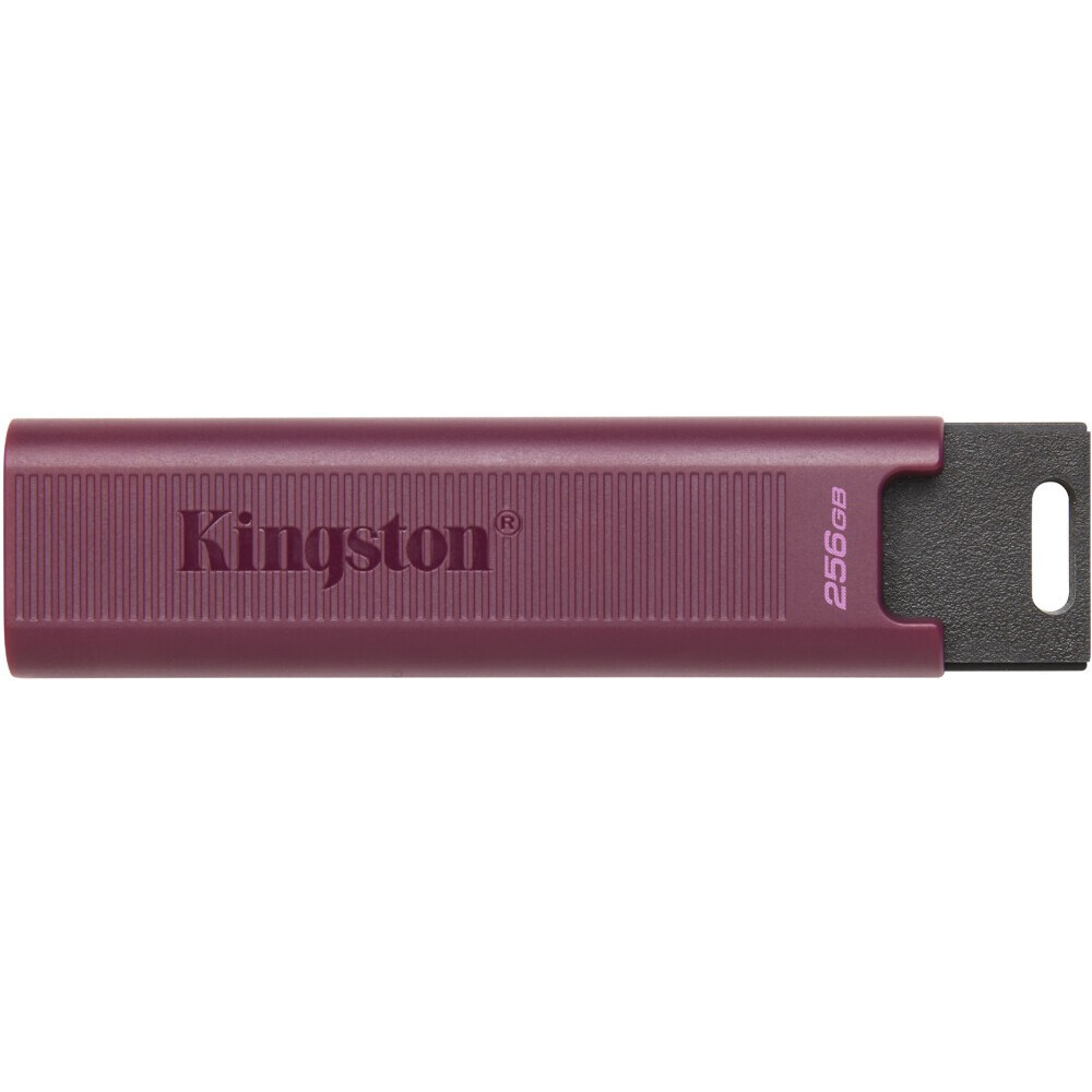 USB Flash накопитель 256Gb Kingston DataTraveler MaxA (DTMAXA/256GB) - фото 2