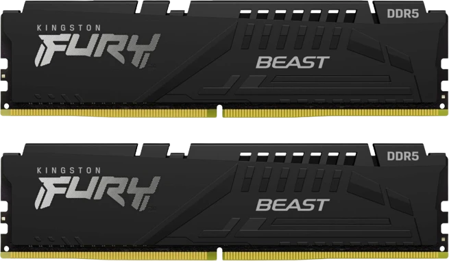 Kingston Fury Beast
