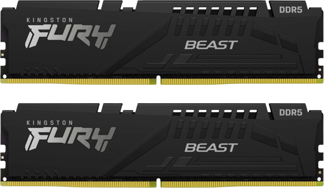 Kingston Fury Beast