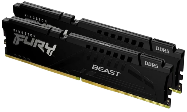 Kingston Fury Beast