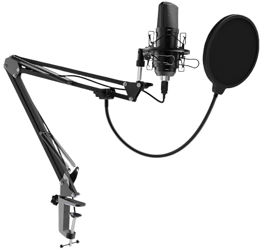 Микрофон Ritmix RDM-169 Black